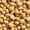 Soy Beans/Soyabeans