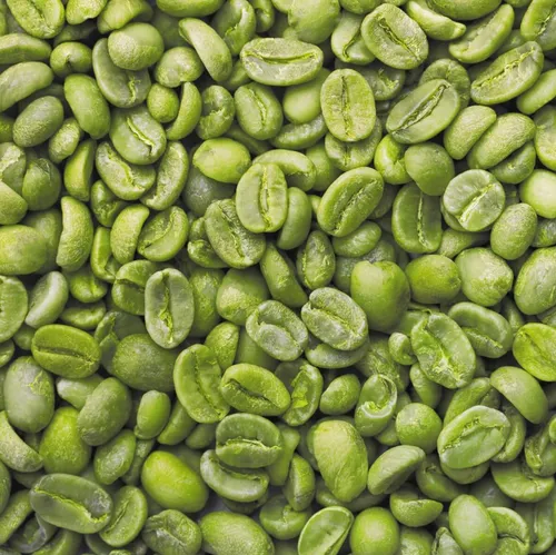arabica-coffee-beans-500x500-1