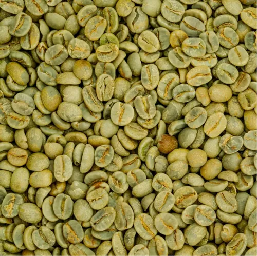 robusta-coffee-beans-500x500-1