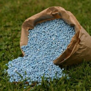 Fertilizer