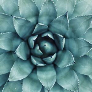 Uncategorized