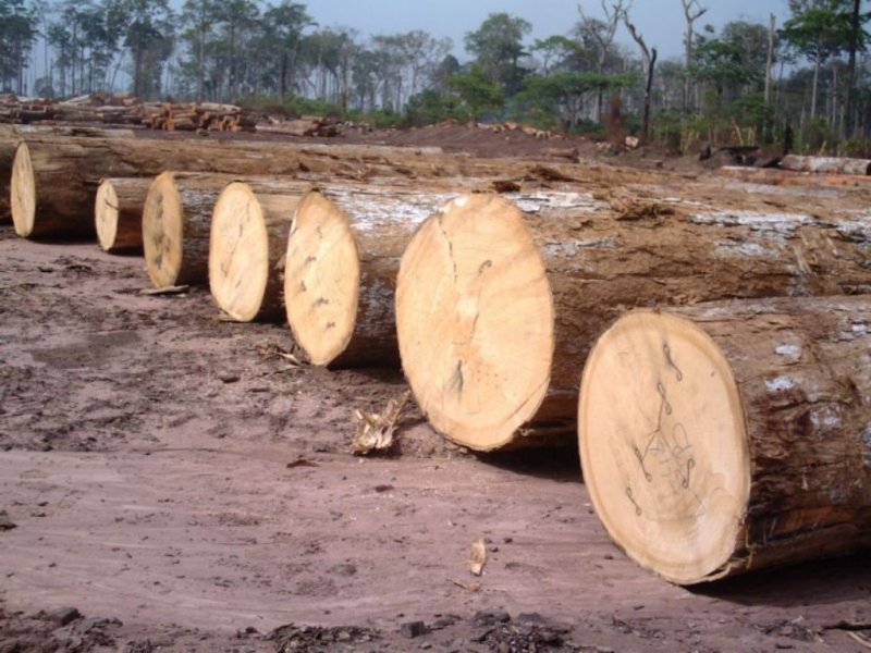 Makore.jpg