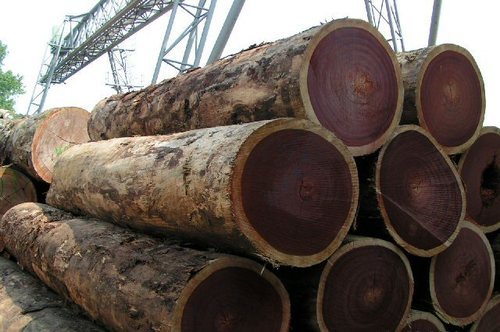 Rose-Wood-Logs.jpg
