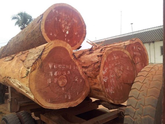 Sapele-Wood-Log.jpg