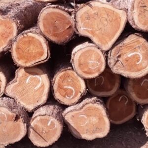 Cherry Wood Logs